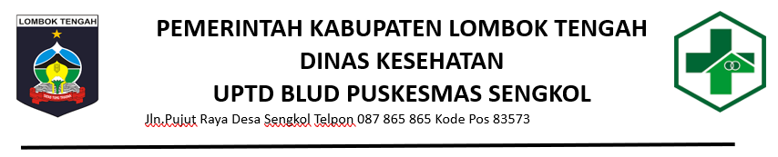 UPTD BLUD PUSKESMAS SENGKOL